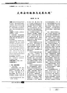 大西安的框架与发展机制