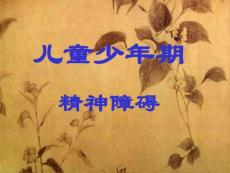 儿童精神障碍课件