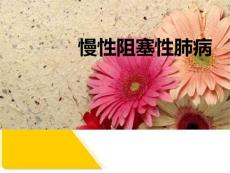 慢性肺气肿课件