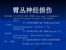 臂丛神经损伤.ppt