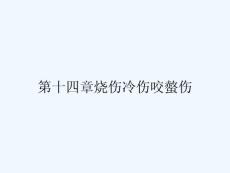 第十四章烧伤冷伤咬螫伤