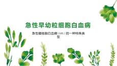 急性早幼粒细胞白血病