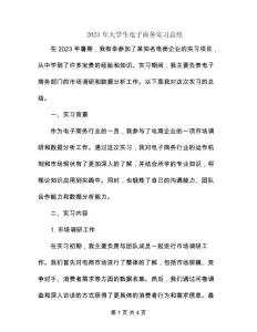 2023年大學生電子商務實習總結