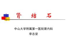 肾结石1