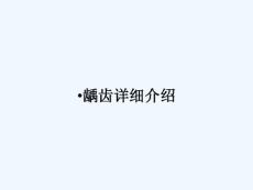 龋齿详细介绍