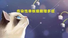 传染性单核细胞增多症