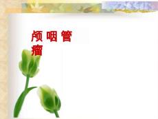 颅咽管瘤课件