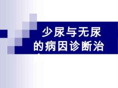 少尿与无尿  的病因诊断治疗课件