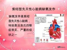紫绀型先天性心脏病缺氧发作课件