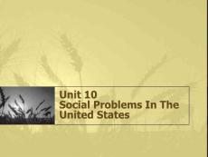 《英语国家社会与文化入门》Unit 10 Social Problems In The United States(8P)