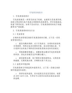 仔兔黄尿病防治