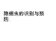 隐翅虫的识别与预防课件