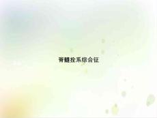 脊髓拴系综合征优质课件