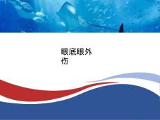 眼底眼外伤课件