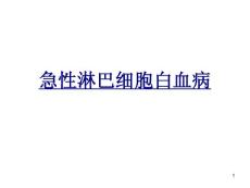 急性淋巴细胞白血病优质课件
