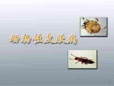 皮肤病学-动物性皮肤病课件