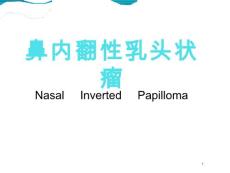 鼻内翻性乳头状瘤医学PPT课件