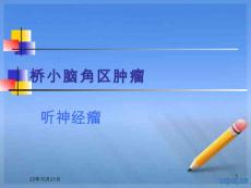 听神经鞘瘤课件