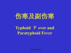 伤寒及副伤寒ppt课件