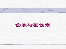 伤寒与副伤寒培训ppt课件