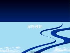 尿路梗阻PPT全面版课件