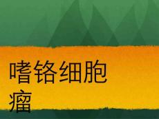 肾上腺嗜铬细胞瘤课件