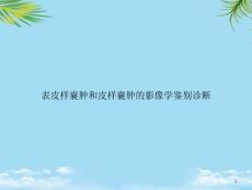 表皮样囊肿和皮样囊肿的影像学鉴别诊断课件