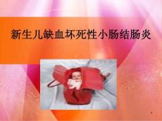 新生儿缺血坏死性小肠结肠炎课件