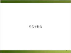 肩关节损伤ppt课件