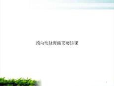 颈内动脉海绵窦瘘讲课ppt课件
