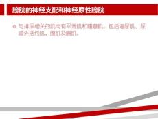 膀胱的神经支配和神经原性膀胱课件