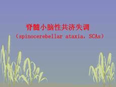 脊髓小脑性共济失调课件