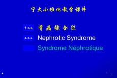 肾病综合征 课件