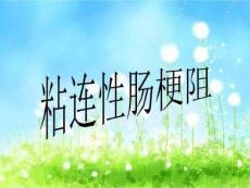 粘连性肠梗阻课件