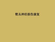 臂丛神经损伤康复课件