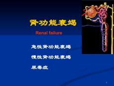 肾功能衰竭课件