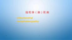 线粒体(脑)肌病课件