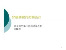 晚期肾癌课件