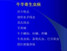 牛羊病寄生虫病课件