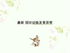冠状动脉发育异常课件