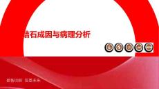 尿道结石成因与病理分析
