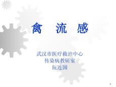 禽流感-课件