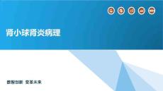 肾小球肾炎病理