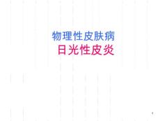 日光性皮炎课件