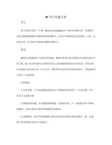 bi项目实施方案