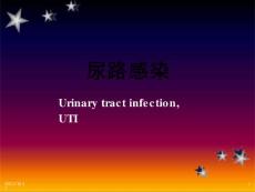 《尿路感染》课件