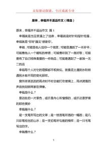 原来，幸福并不遥远作文（精选）