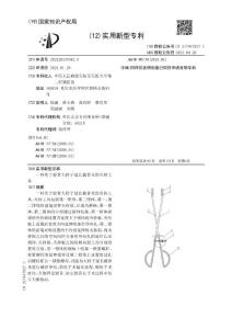 一种用于股骨大转子延长截骨术的夹持工具
