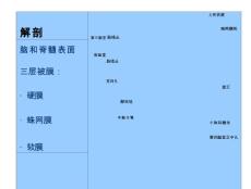 化脓性脑膜炎和结核性脑膜炎课件
