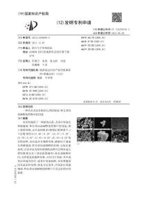 一种共晶及其在制备长效镇痛或/和长效局部麻醉的药物中的用途